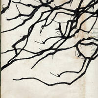 design /
