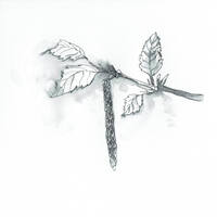 design /