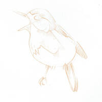 design /