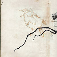 design /