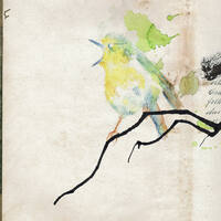 design /
