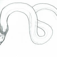 design /