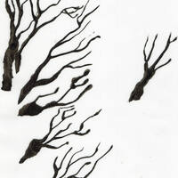 design /