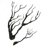 design /