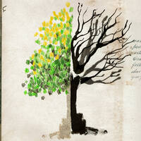 design /