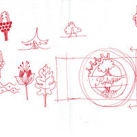 design /