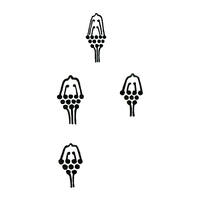 design /