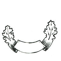 design /