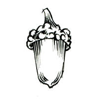 design /