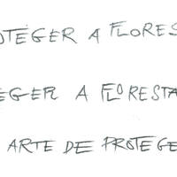 design /