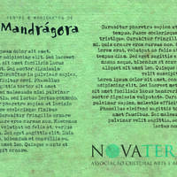 design /