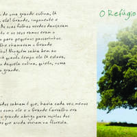 design /