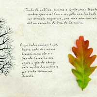 design /