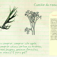 design /