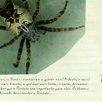 design /