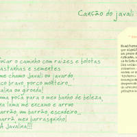 design /