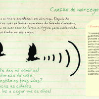 design /