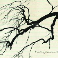 design /