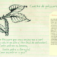 design /