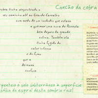 design /