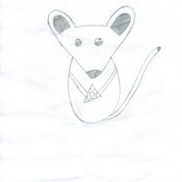 design /