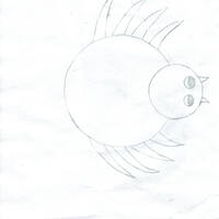 design /