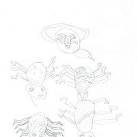 design /
