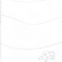 design /