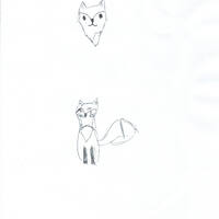 design /