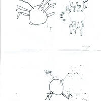 design /