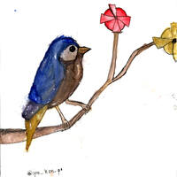 design /