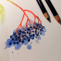 design /