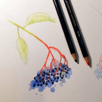 design /