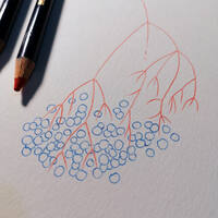 design /