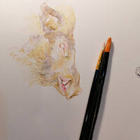 design /