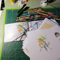 design /